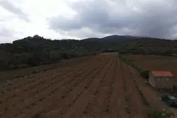 Vente terrain agricole Rodès  