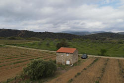 Vente terrain agricole Rodès  