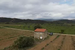 Vente terrain agricole Rodès  