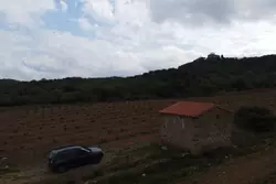 Vente terrain agricole Rodès  