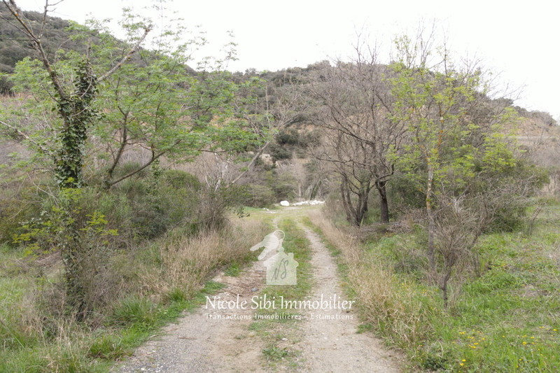 Vente terrain Rasiguères  