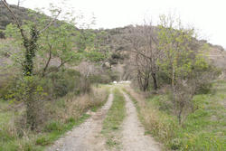Vente terrain Rasiguères  