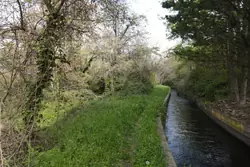 Vente terrain agricole Rodès  