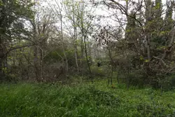Vente terrain agricole Rodès  