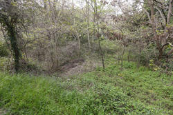Vente terrain agricole Rodès  