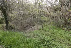 Vente terrain agricole Rodès  