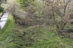 Vente terrain agricole Rodès  