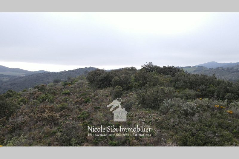 Vente terrain Estagel  
