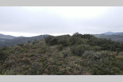 Vente terrain Estagel  