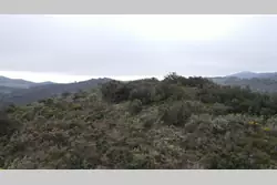 Vente terrain Estagel  