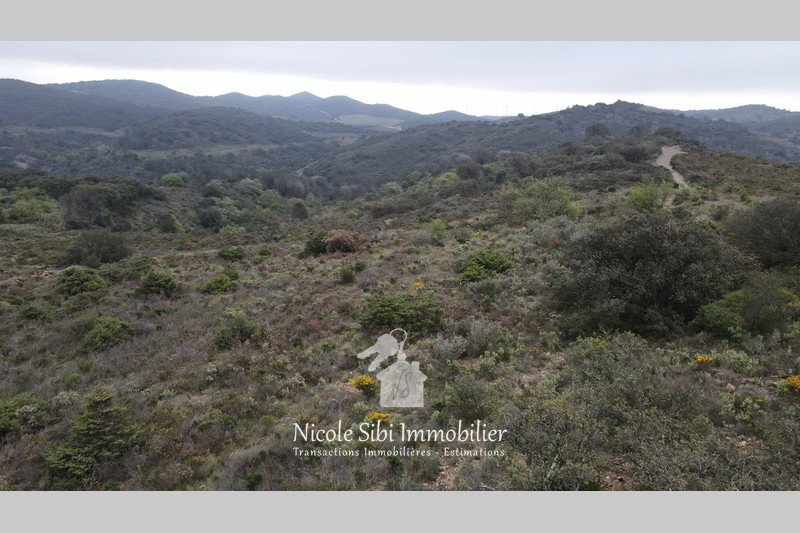Vente terrain Estagel  