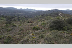 Vente terrain Estagel  