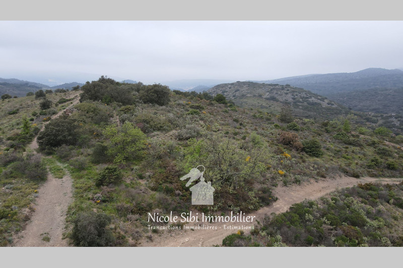 Vente terrain Estagel  