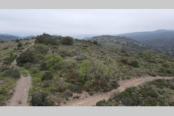 Vente terrain Estagel  
