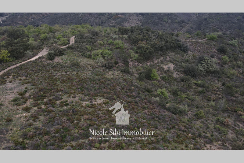 Vente terrain Estagel  