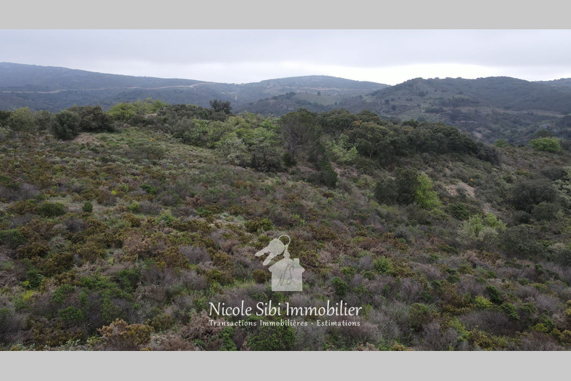 Vente terrain Estagel  