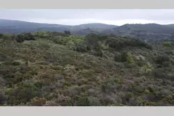 Vente terrain Estagel  