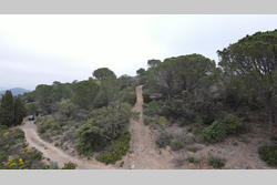 Vente terrain Estagel  