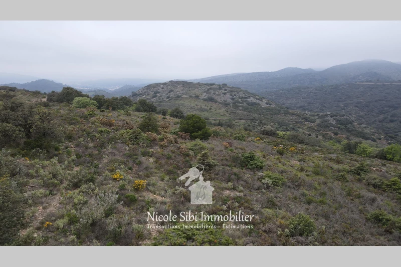 Vente terrain Estagel  