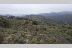 Vente terrain Estagel  