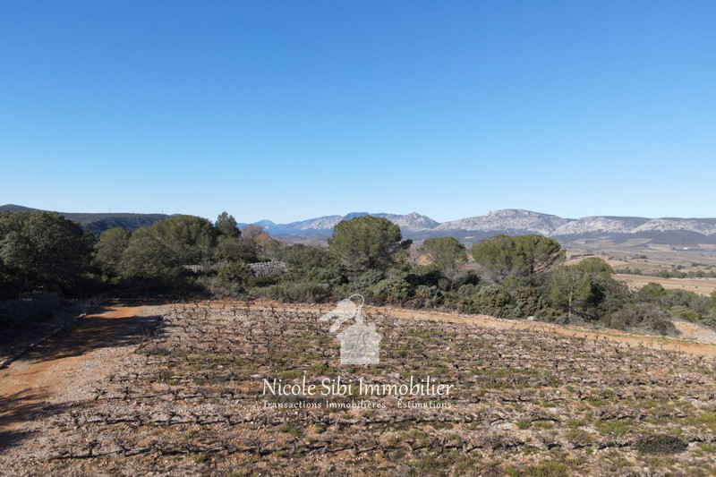 Vente terrain agricole Estagel  