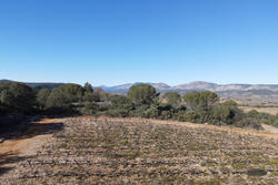 Vente terrain agricole Estagel  