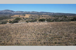Vente terrain agricole Estagel  