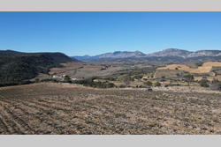 Vente terrain agricole Estagel  