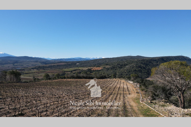 Vente terrain agricole Estagel  