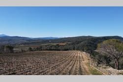 Vente terrain agricole Estagel  