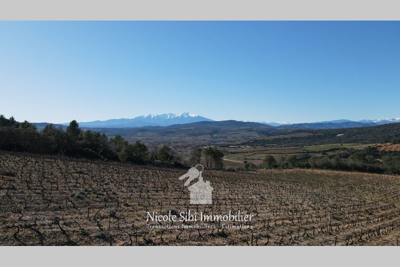 Vente terrain agricole Estagel  