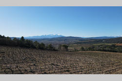 Vente terrain agricole Estagel  