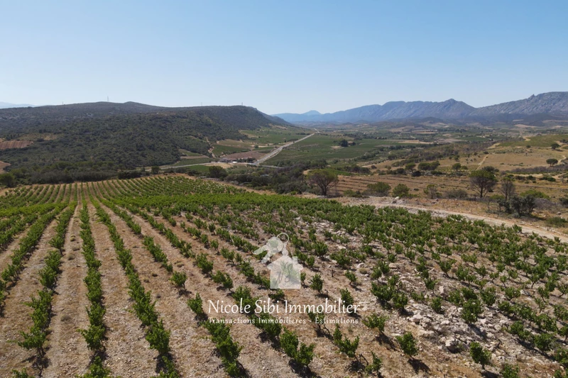Vente terrain agricole Estagel  