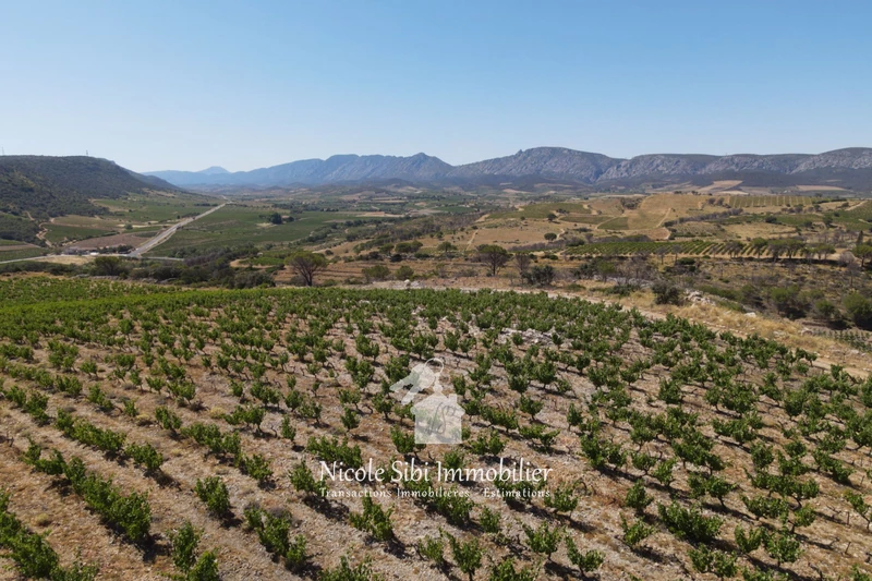 Vente terrain agricole Estagel  