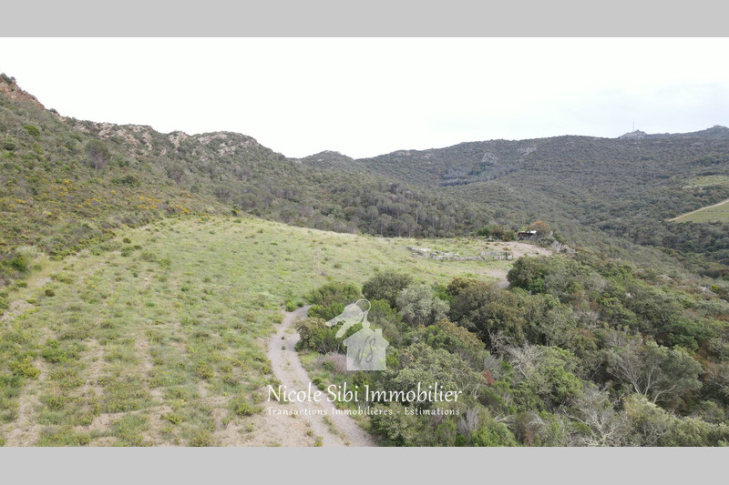 Vente terrain Montner  
