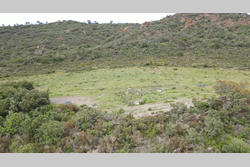 Vente terrain Montner  