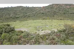 Vente terrain Montner  