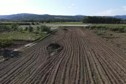 Vente terrain agricole Estagel  