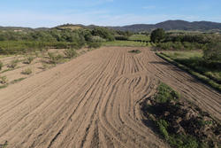 Vente terrain agricole Estagel  