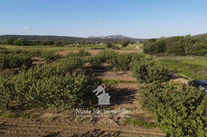 Vente terrain agricole Estagel  