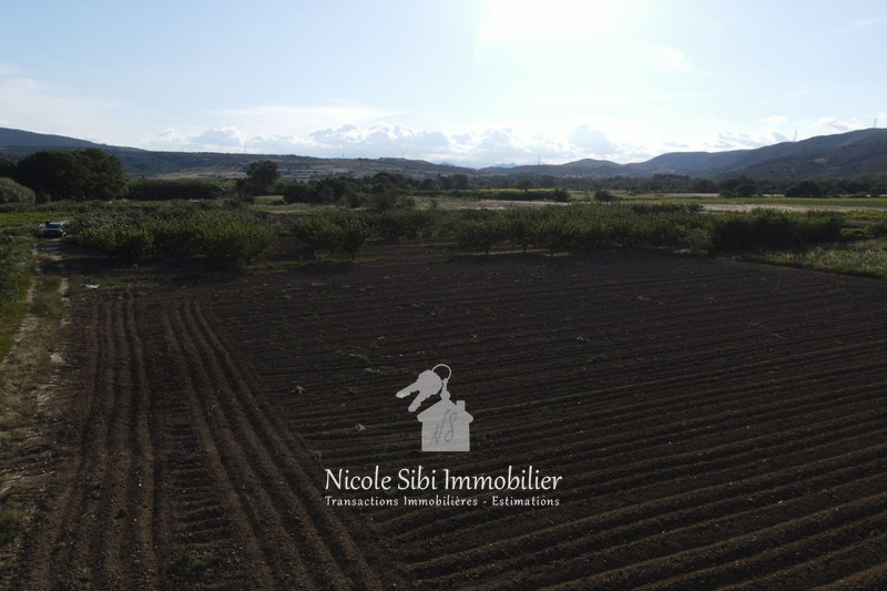 Vente terrain agricole Estagel  