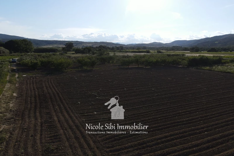 Vente terrain agricole Estagel  