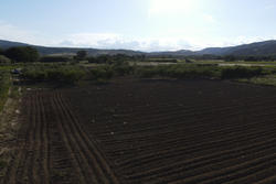 Vente terrain agricole Estagel  