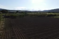 Vente terrain agricole Estagel  