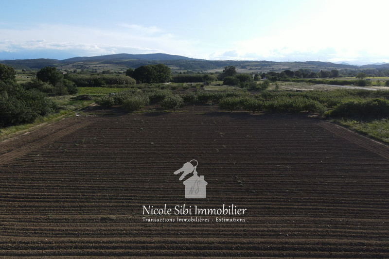 Vente terrain agricole Estagel  