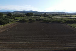 Vente terrain agricole Estagel  