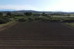 Vente terrain agricole Estagel  
