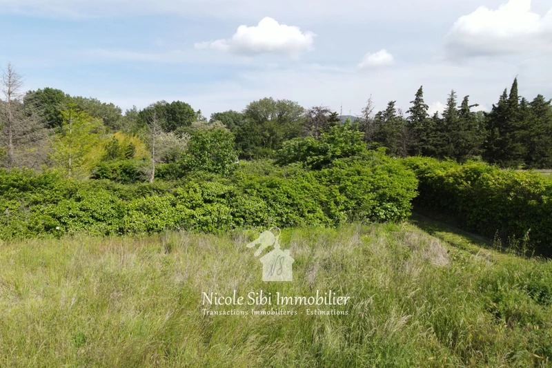 Vente terrain agricole Rodès  