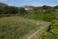 Vente terrain agricole Rodès  