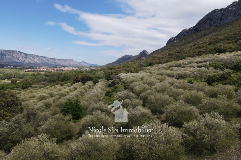 Vente terrain agricole Saint-Paul-de-Fenouillet  